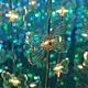 butterfly lights